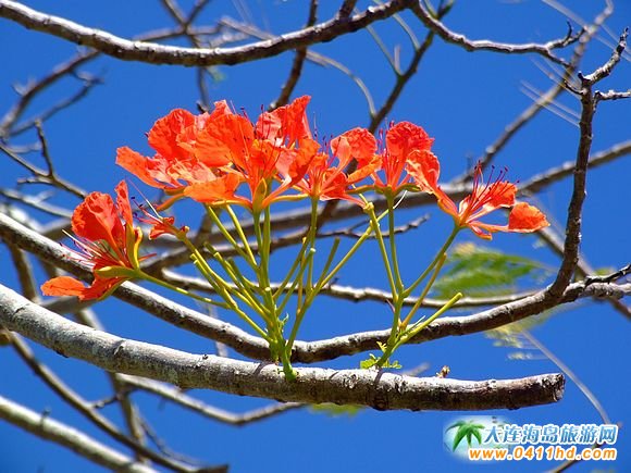 �����u�����o��@